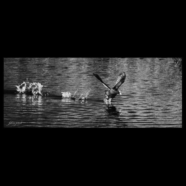 PHOTO84, CLUB, 84 , LUBERON